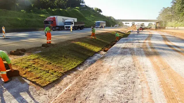Gramas em São Roque